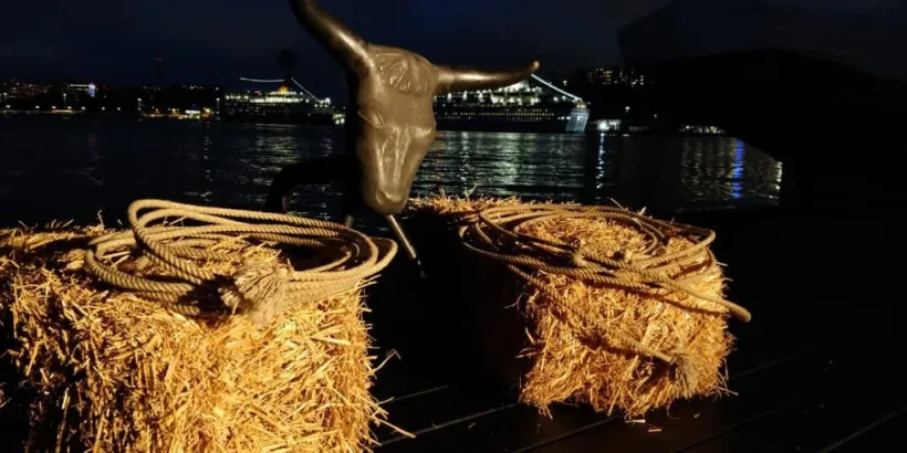 Lasso-kasting